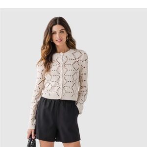 Z Supply Cream Knit Cardigan